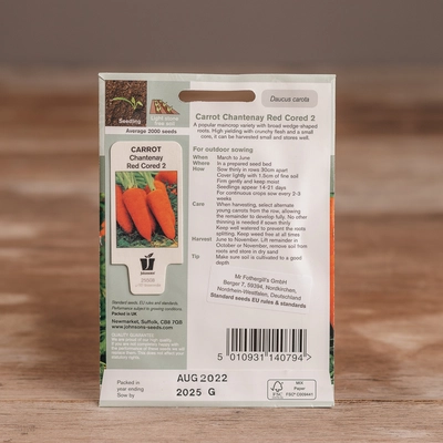 Carrot Chantenay Red Cored 2 - image 2