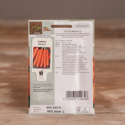 Carrot Nantes 5 - image 2