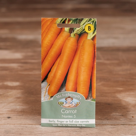 Carrot Nantes 5 - image 1