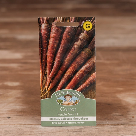 Carrot Purple Sun F1 - image 1