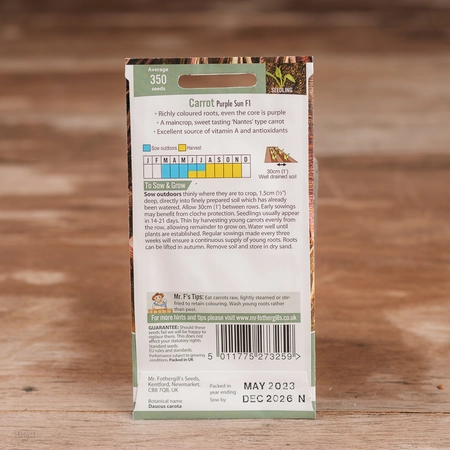 Carrot Purple Sun F1 - image 2