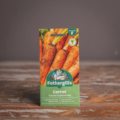 Carrot Resistafly Tozresis F1 - image 1