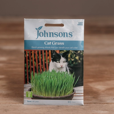 Cat Grass - Avena Sativa - image 1