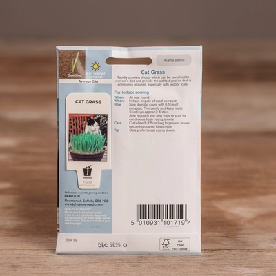 Cat Grass - Avena Sativa - image 2