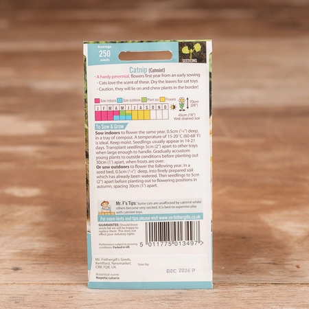 Catmint Catnip - image 2