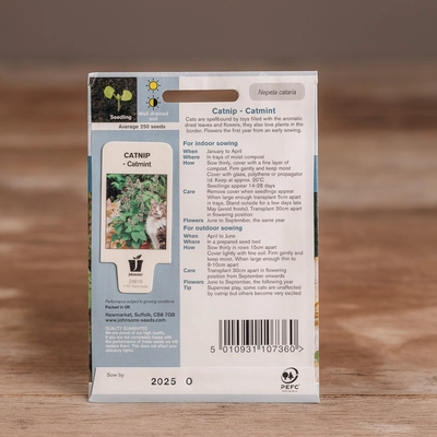 Catnip - Catmint - image 2