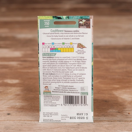 Cauliflower Romanesco Natalino - image 2