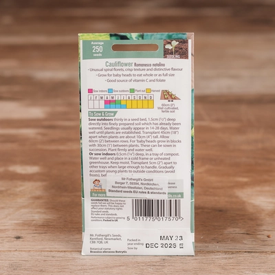 Cauliflower Romanesco Natalino - image 2