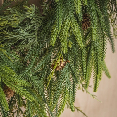 Cedar Pine Jute Wreath 60Cm - image 5