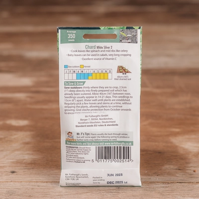 Chard White Silver 2 - image 2