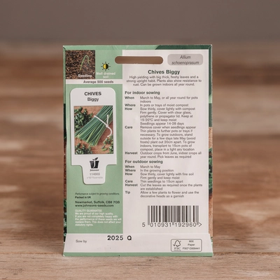 Chives Biggy - image 2