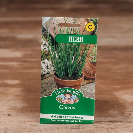 Chives Fine Leaf - image 1