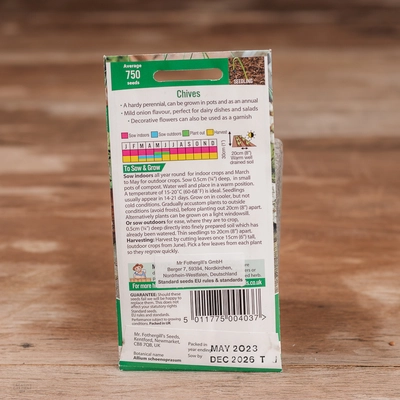 Chives Fine Leaf - image 2