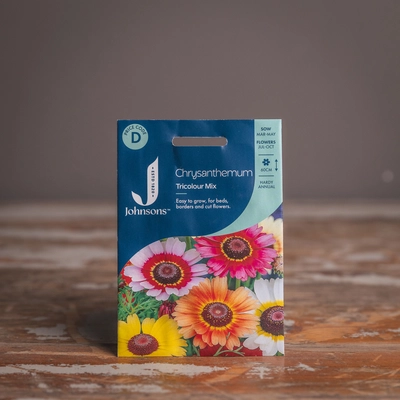 Chrysanthemum Tricolour Mix - image 1