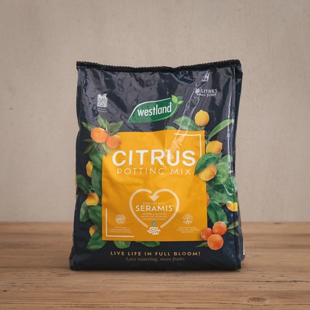 Citrus Potting Mix 10L Quad