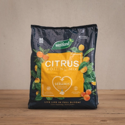Citrus Potting Mix 10L Quad