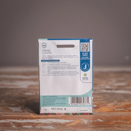 Clarkia Double Mix - image 2