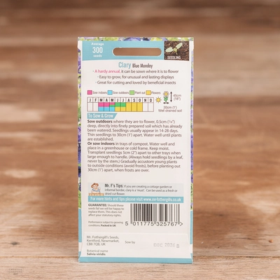 Clary Blue Monday - image 2