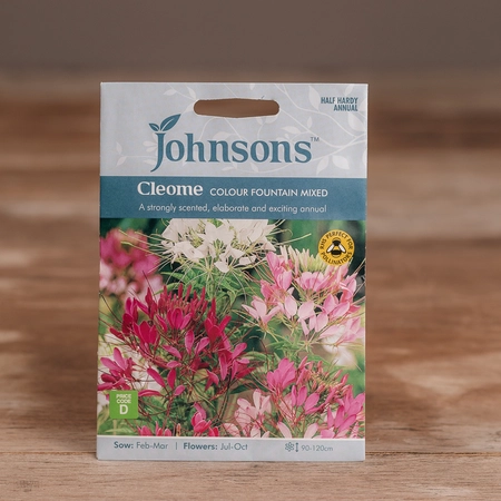 Cleome Colour Fountain Mix - image 1