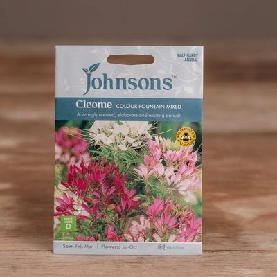 Cleome Colour Fountain Mix - image 1