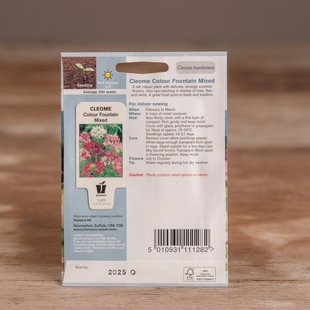 Cleome Colour Fountain Mix - image 2