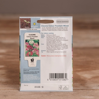 Cleome Colour Fountain Mix - image 2