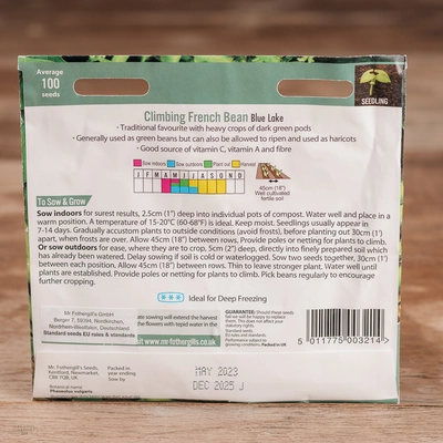 Climbing French Bean Blue Lake - image 2