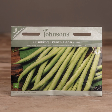 Climbing French Bean Cobra - image 1