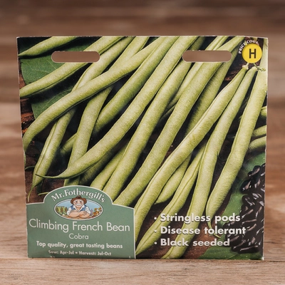 Climbing French Bean Cobra