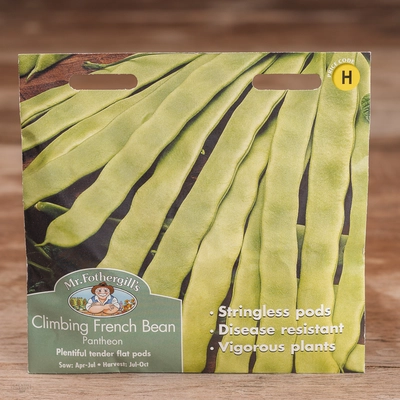 Climbing French Bean Pantheon - image 1