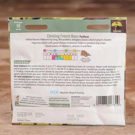 Climbing French Bean Pantheon - image 2