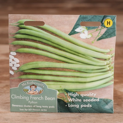 Climbing French Bean Python - image 1