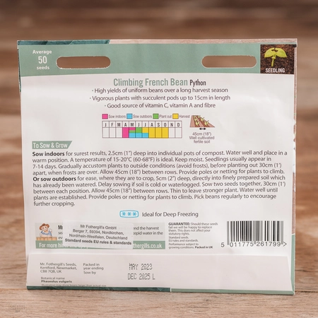 Climbing French Bean Python - image 2