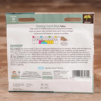 Climbing French Bean Python - image 2