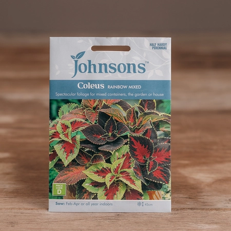 Coleus Rainbow Mix - image 1