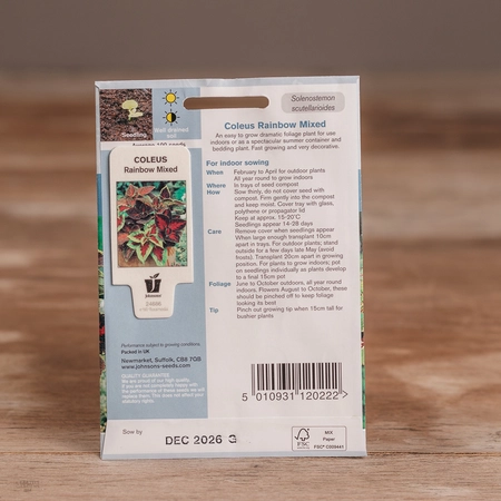 Coleus Rainbow Mix - image 2
