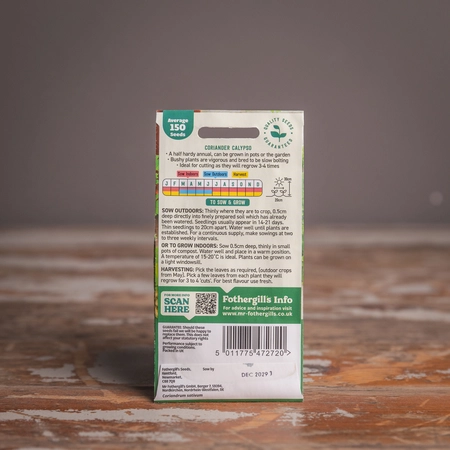 Coriander Calypso - image 2