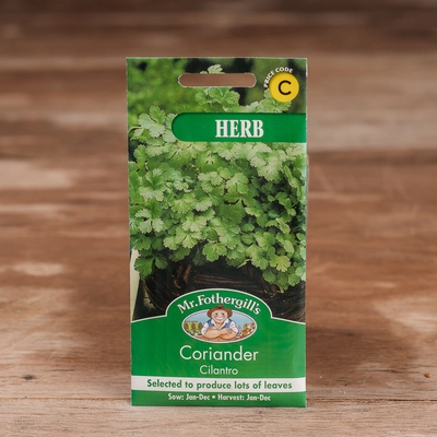 Coriander Cilantro - image 1