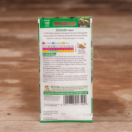 Coriander Cilantro - image 2