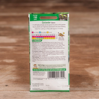 Coriander Cilantro - image 2