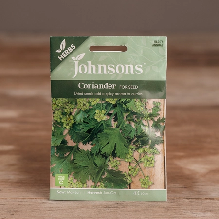 Coriander For Seed - image 1