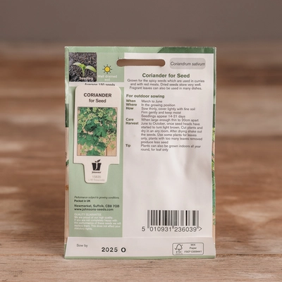 Coriander For Seed - image 2