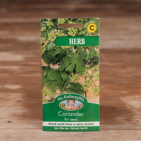 Coriander (For Seed) - image 1