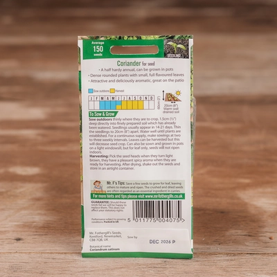 Coriander (For Seed) - image 2
