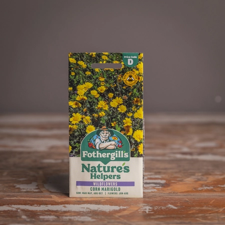 Corn Marigold - image 1