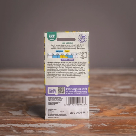 Corn Marigold - image 2