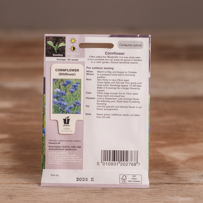 Cornflower - image 2