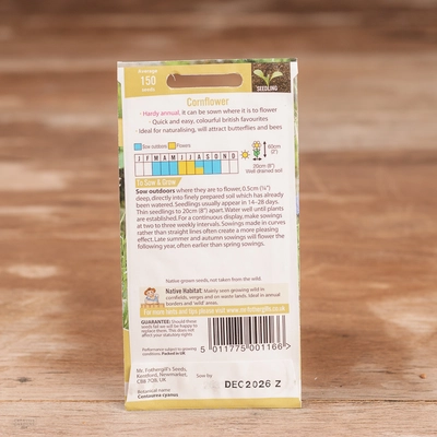 Cornflower - image 2