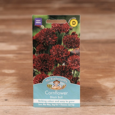 Cornflower Black Ball