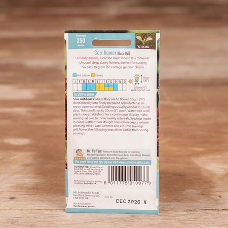 Cornflower Black Ball - image 2